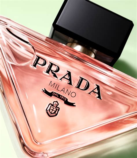 prada paradoxie|prada paradoxe for women.